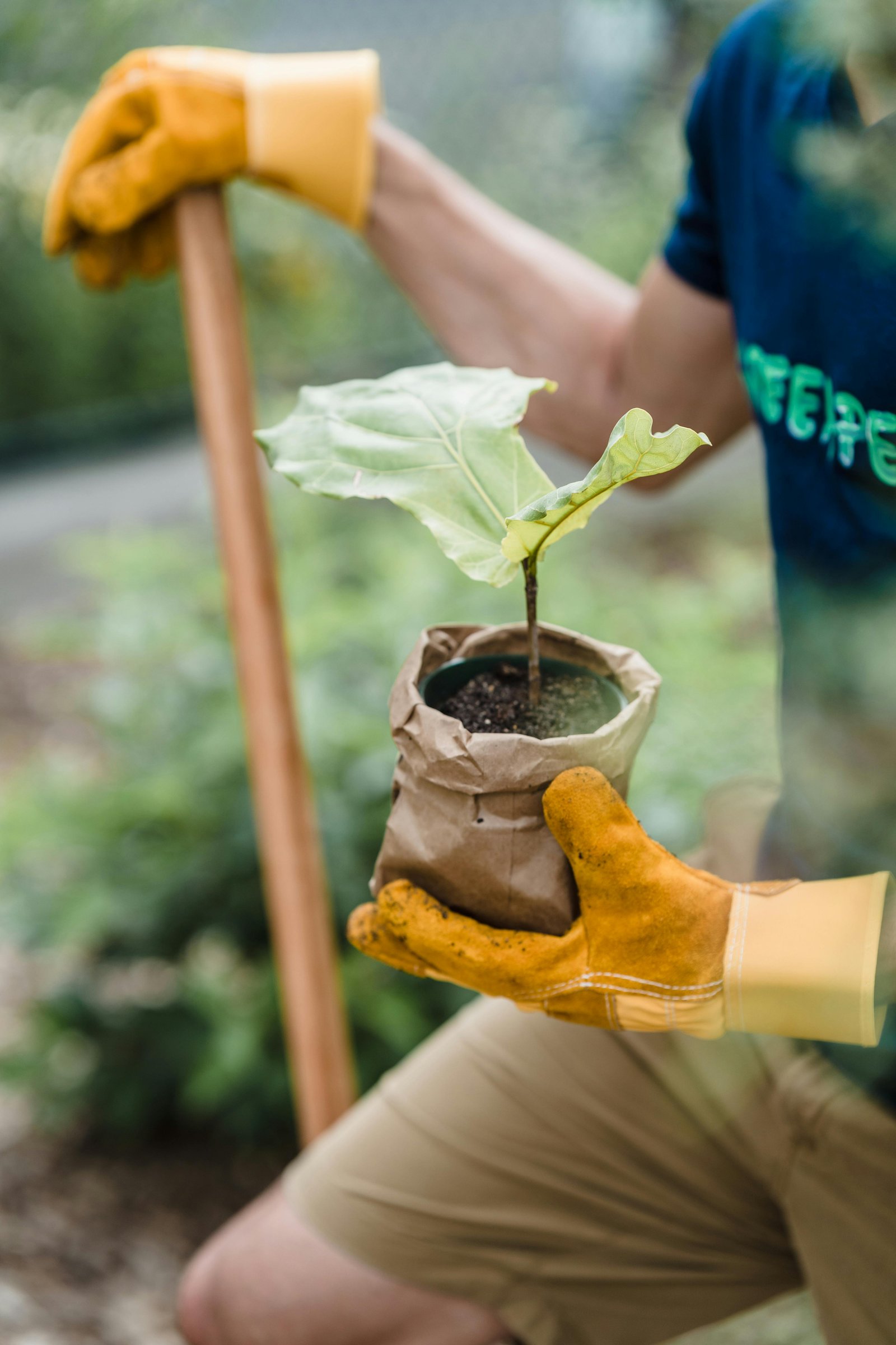 Gardening at The Club Exeter